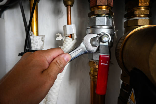 Best Shower Repair Services  in Markham, IL